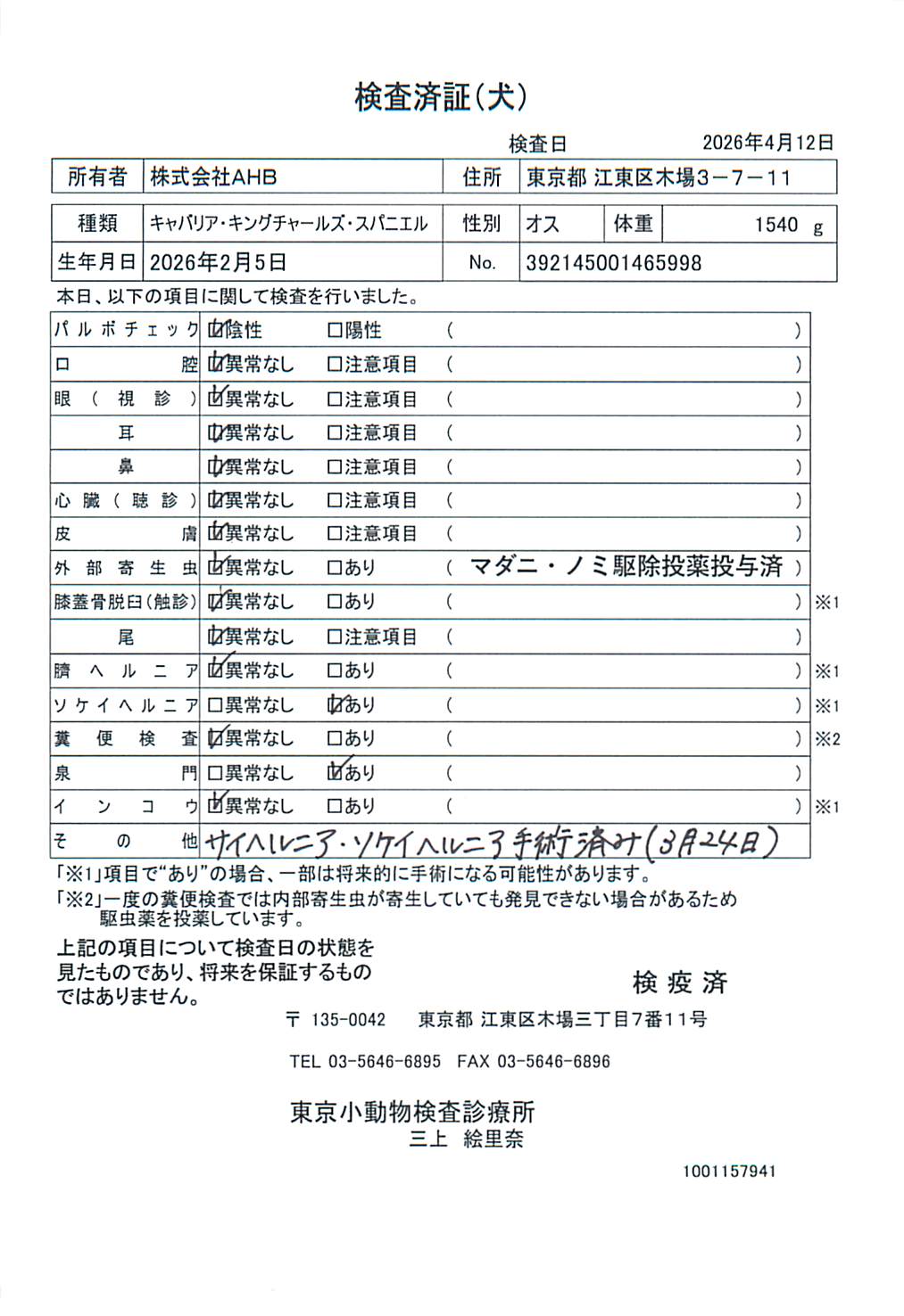 キャバリア・キングチャールズ・スパニエル