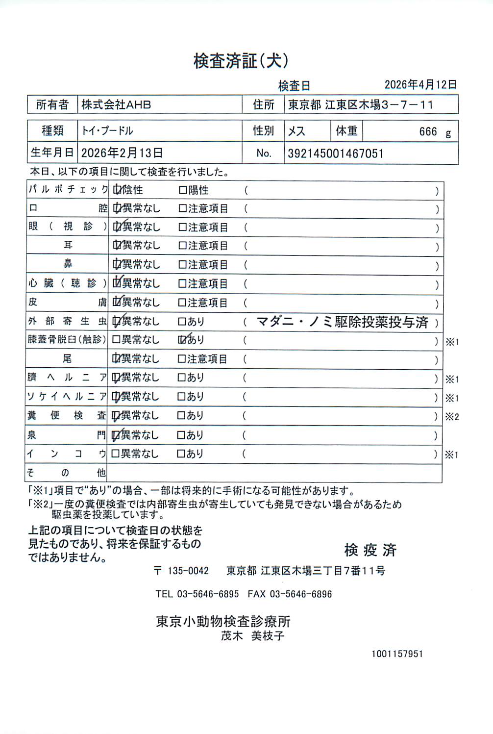 トイ・プードル