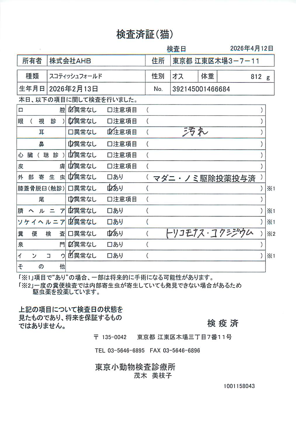 スコティッシュフォールド