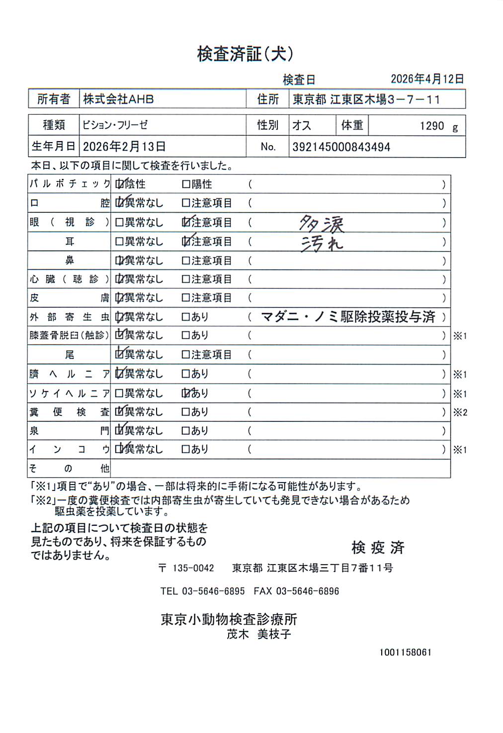 ビション・フリーゼ