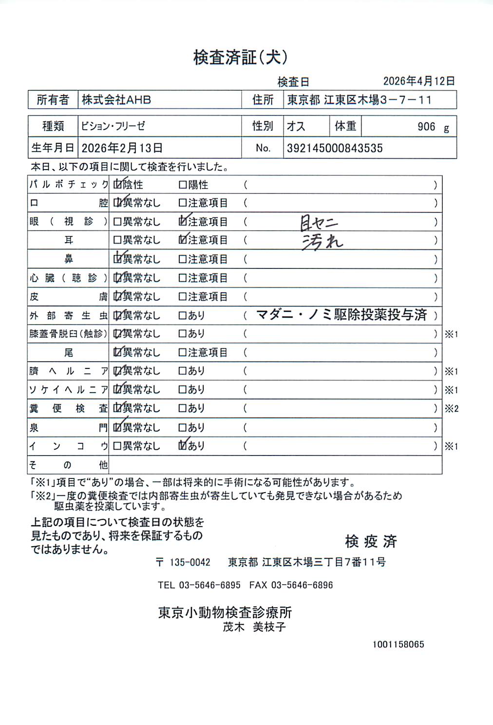 ビション・フリーゼ