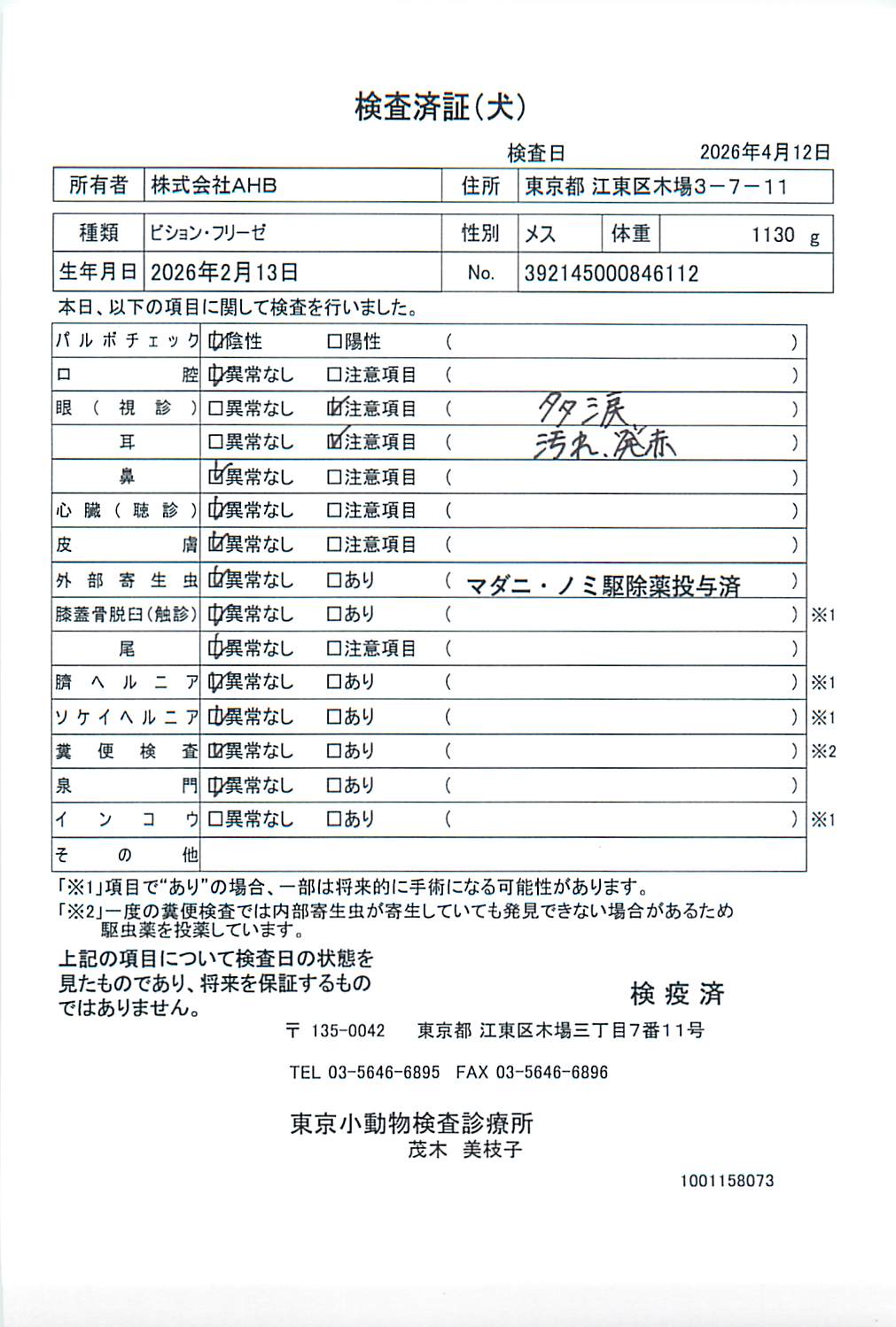 ビション・フリーゼ