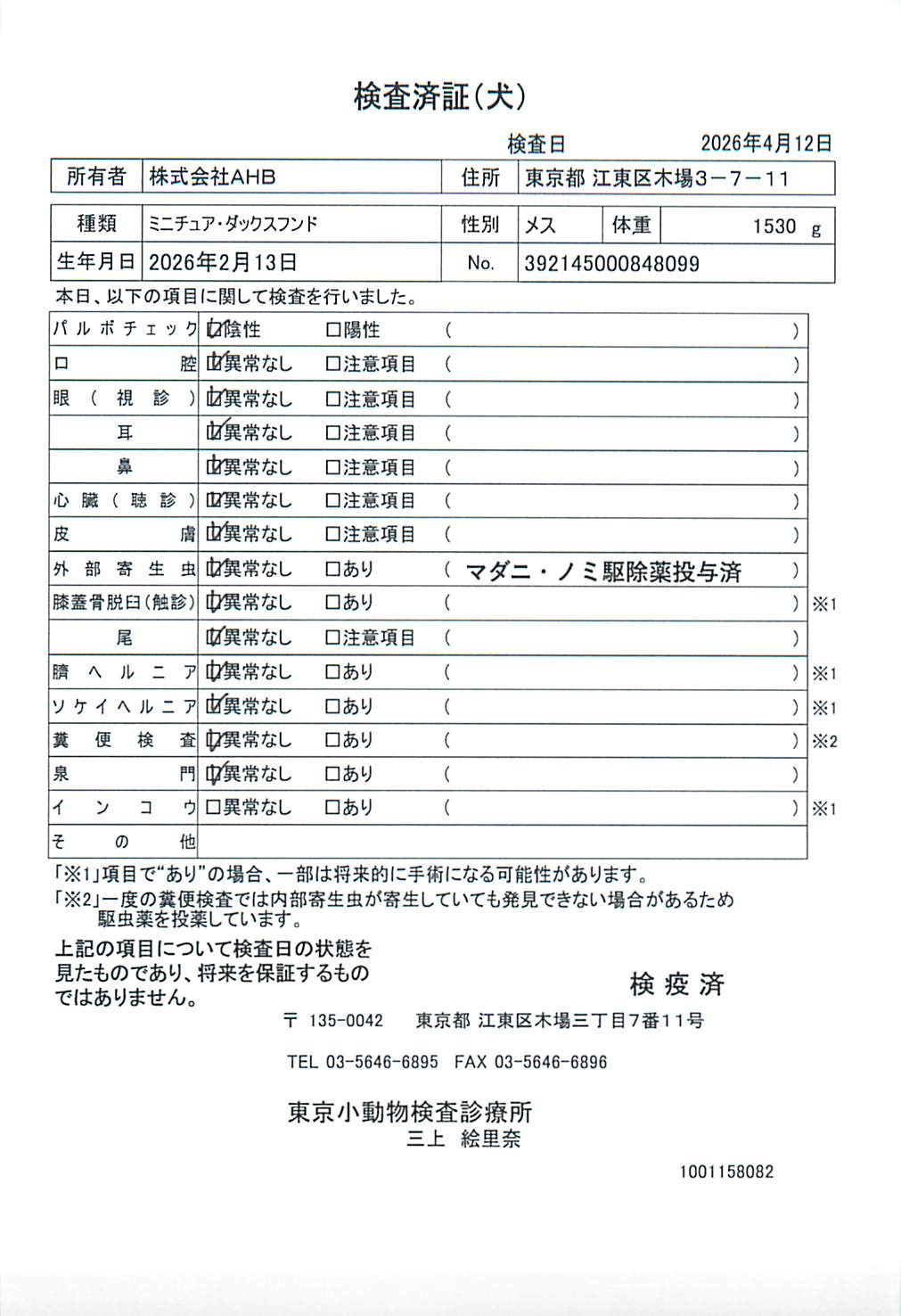 ミニチュア・ダックスフンド