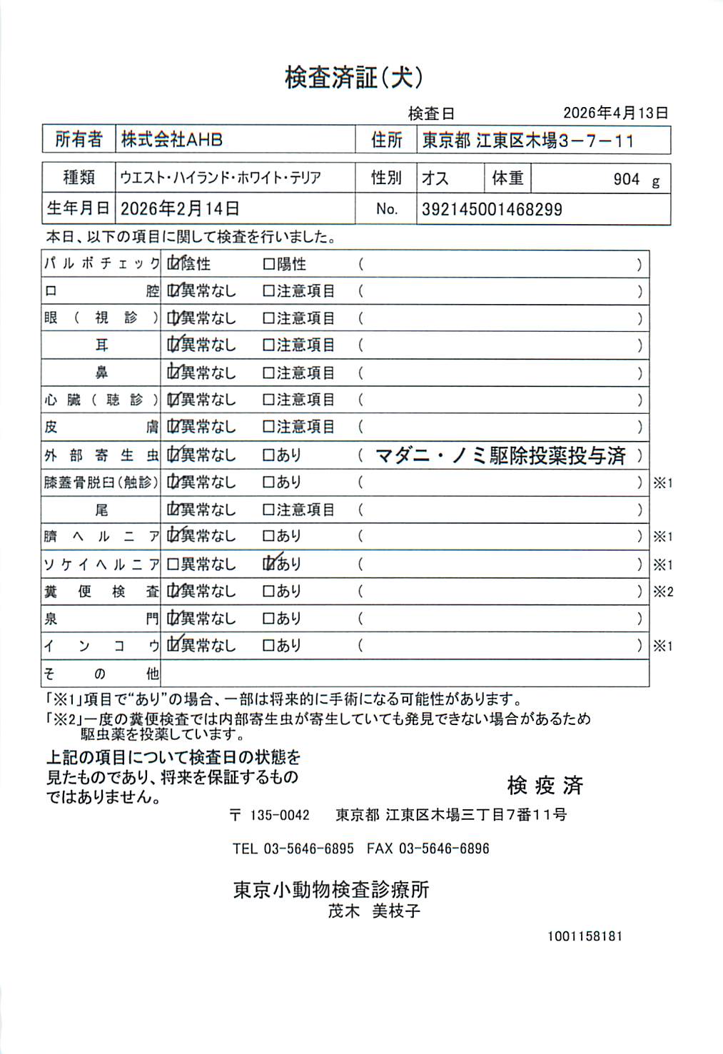 ウエスト・ハイランド・ホワイト・テリア