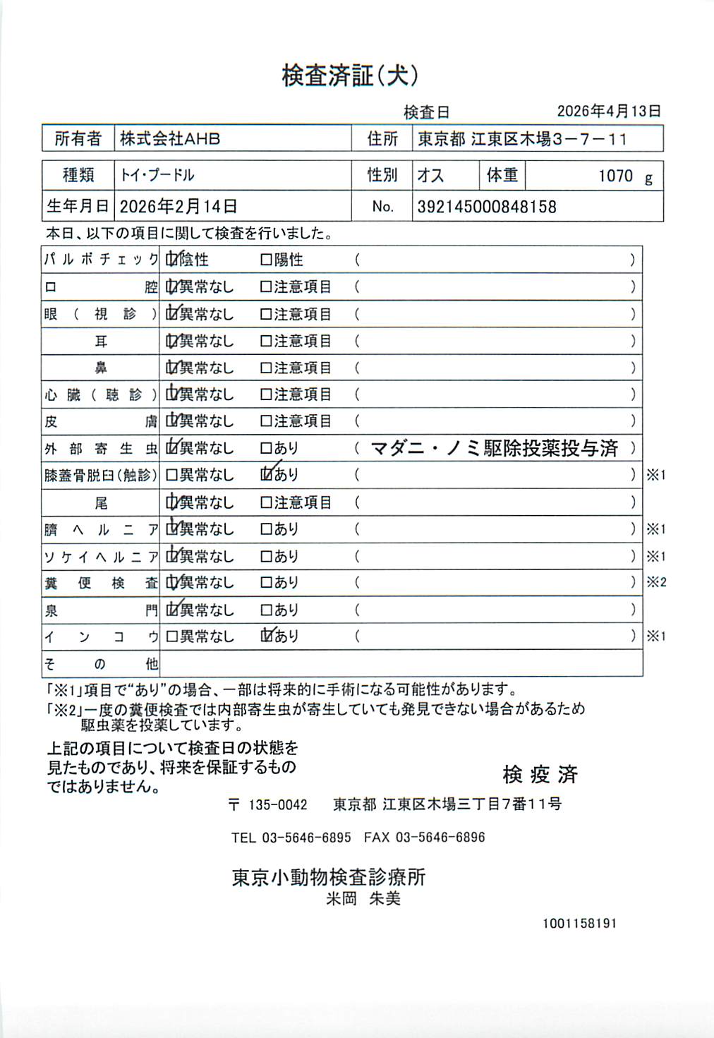 トイ・プードル
