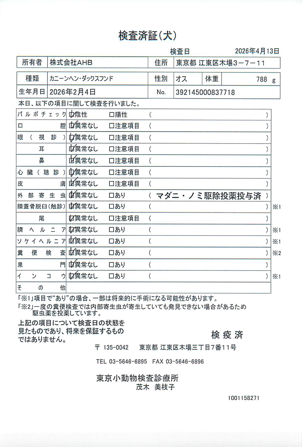 カニーンヘン・ダックスフンド