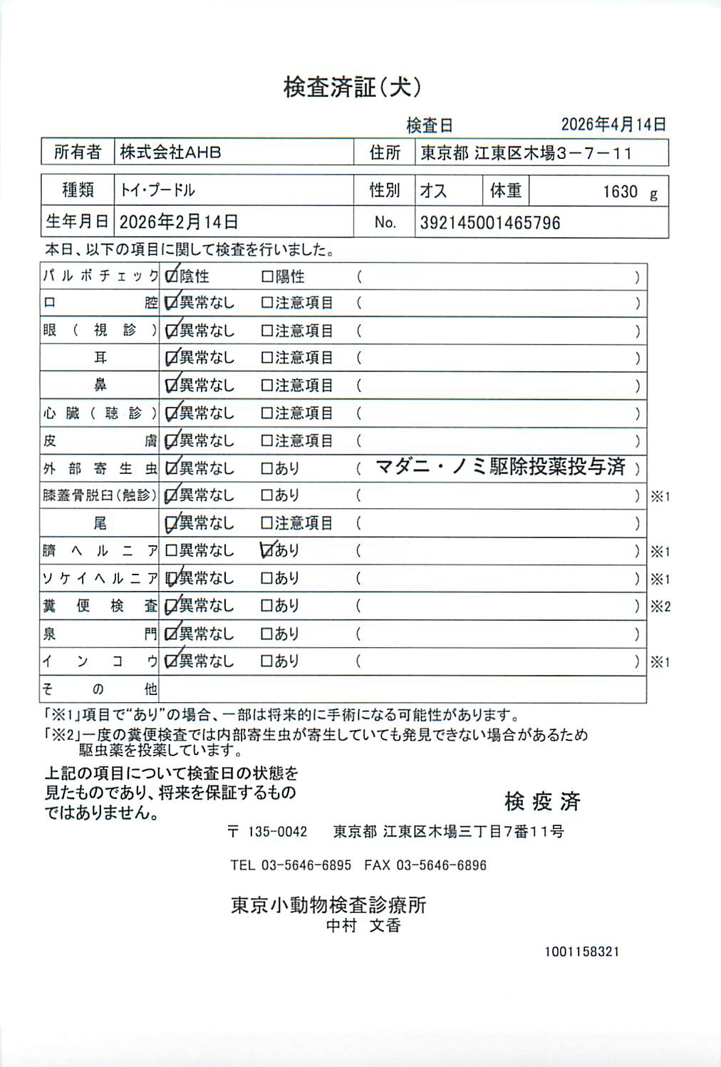 トイ・プードル