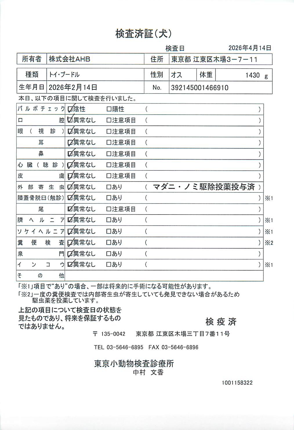 トイ・プードル