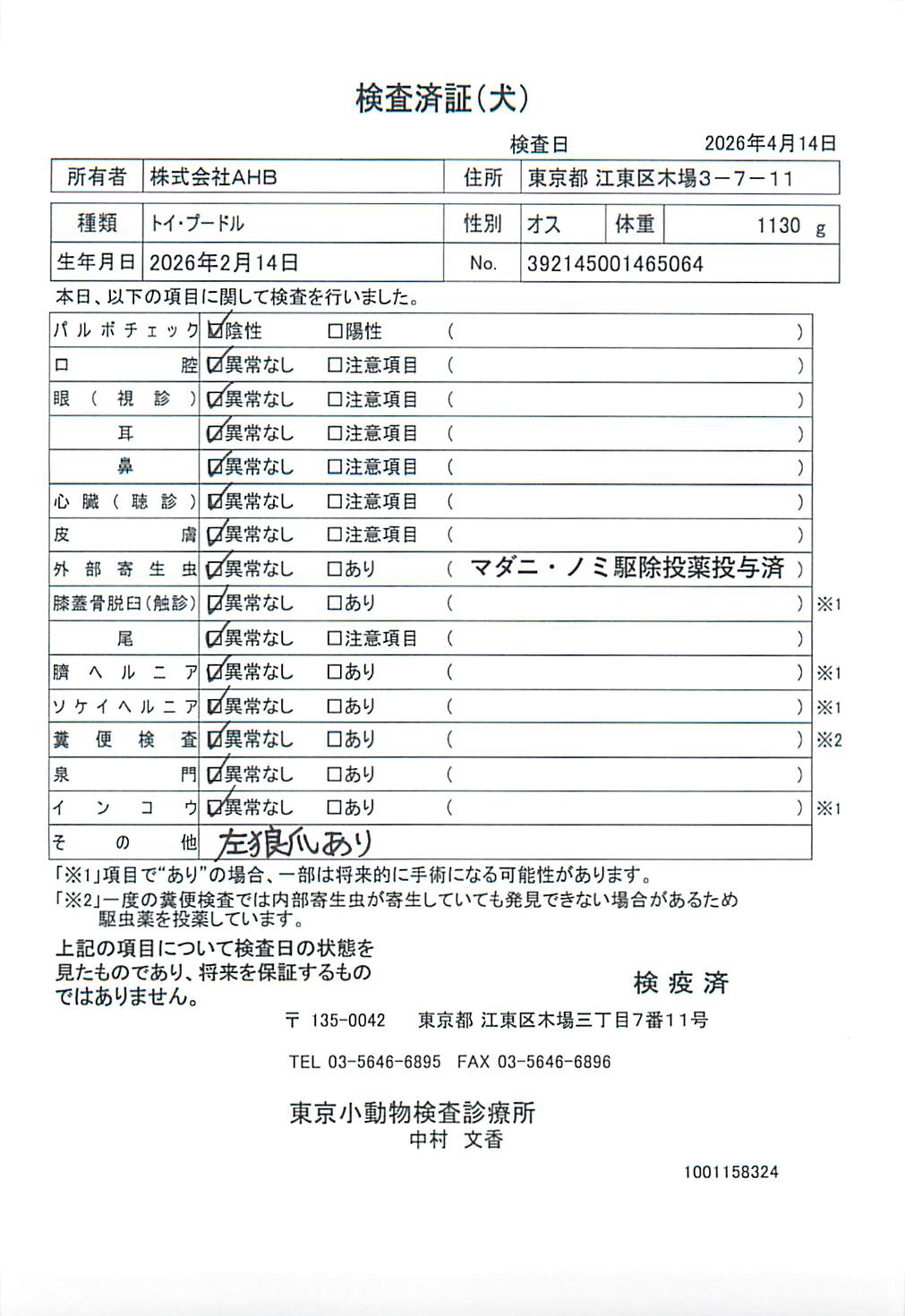 トイ・プードル