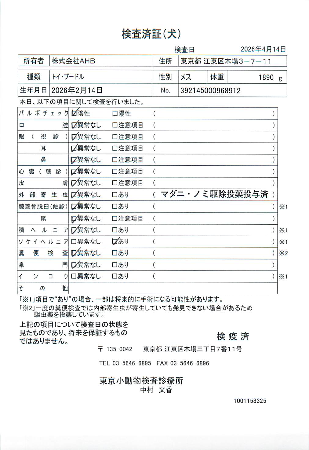 トイ・プードル