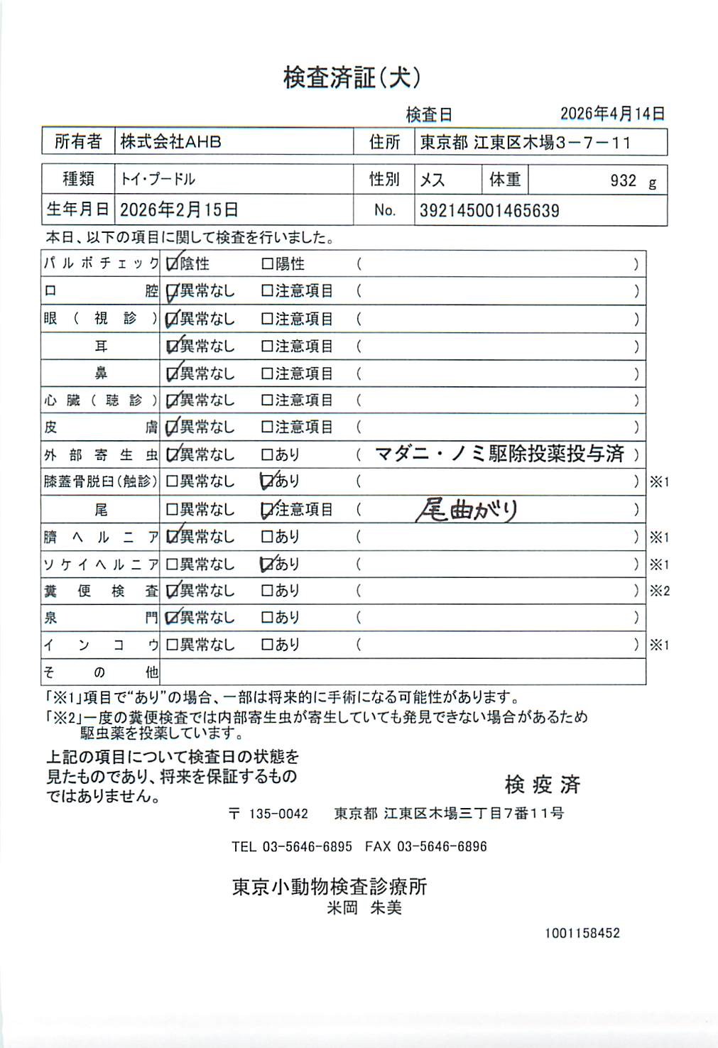 トイ・プードル