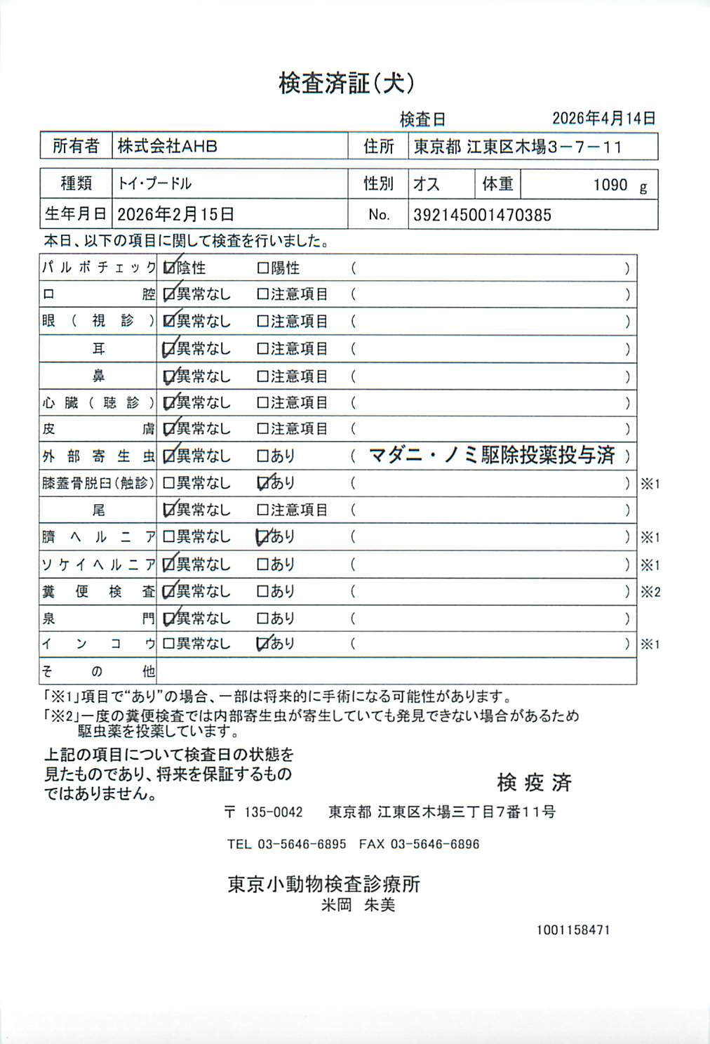 トイ・プードル