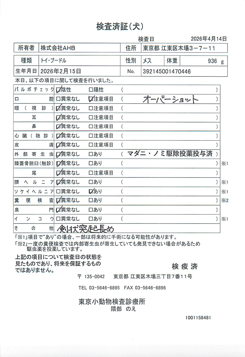 トイ・プードル