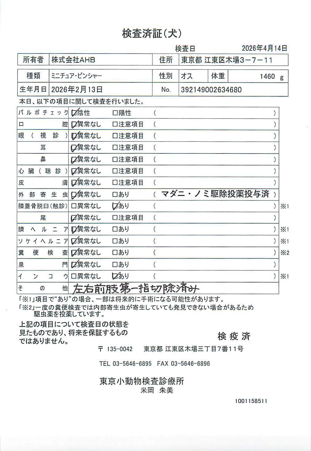 ミニチュア・ピンシャー