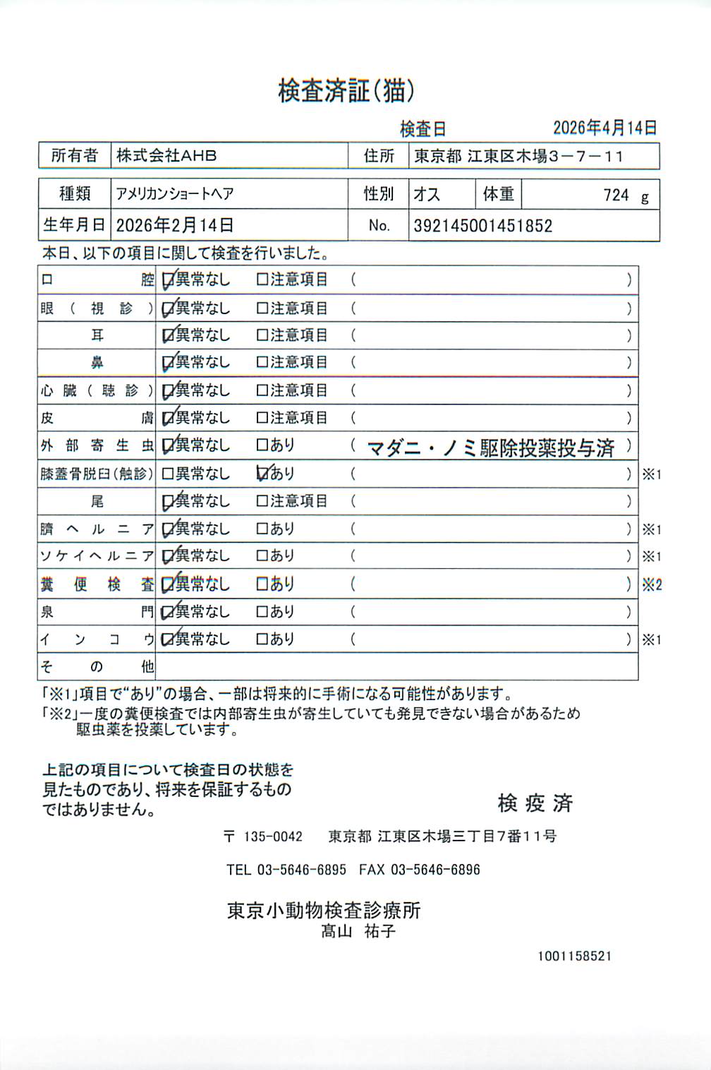 アメリカンショートヘア
