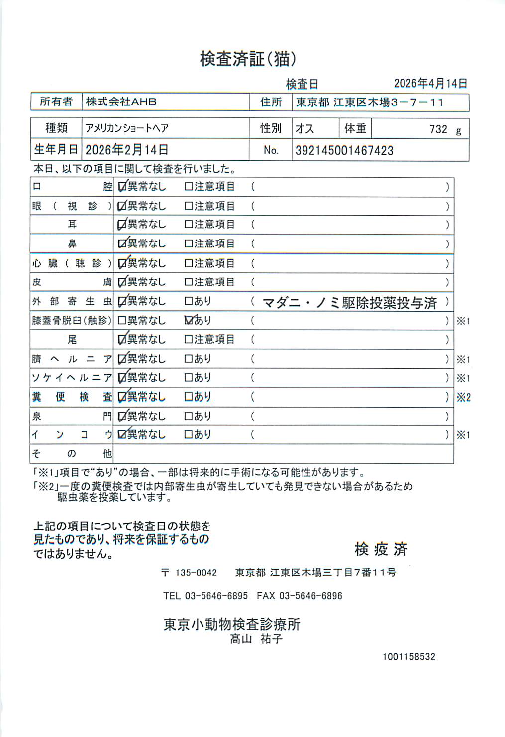 アメリカンショートヘア