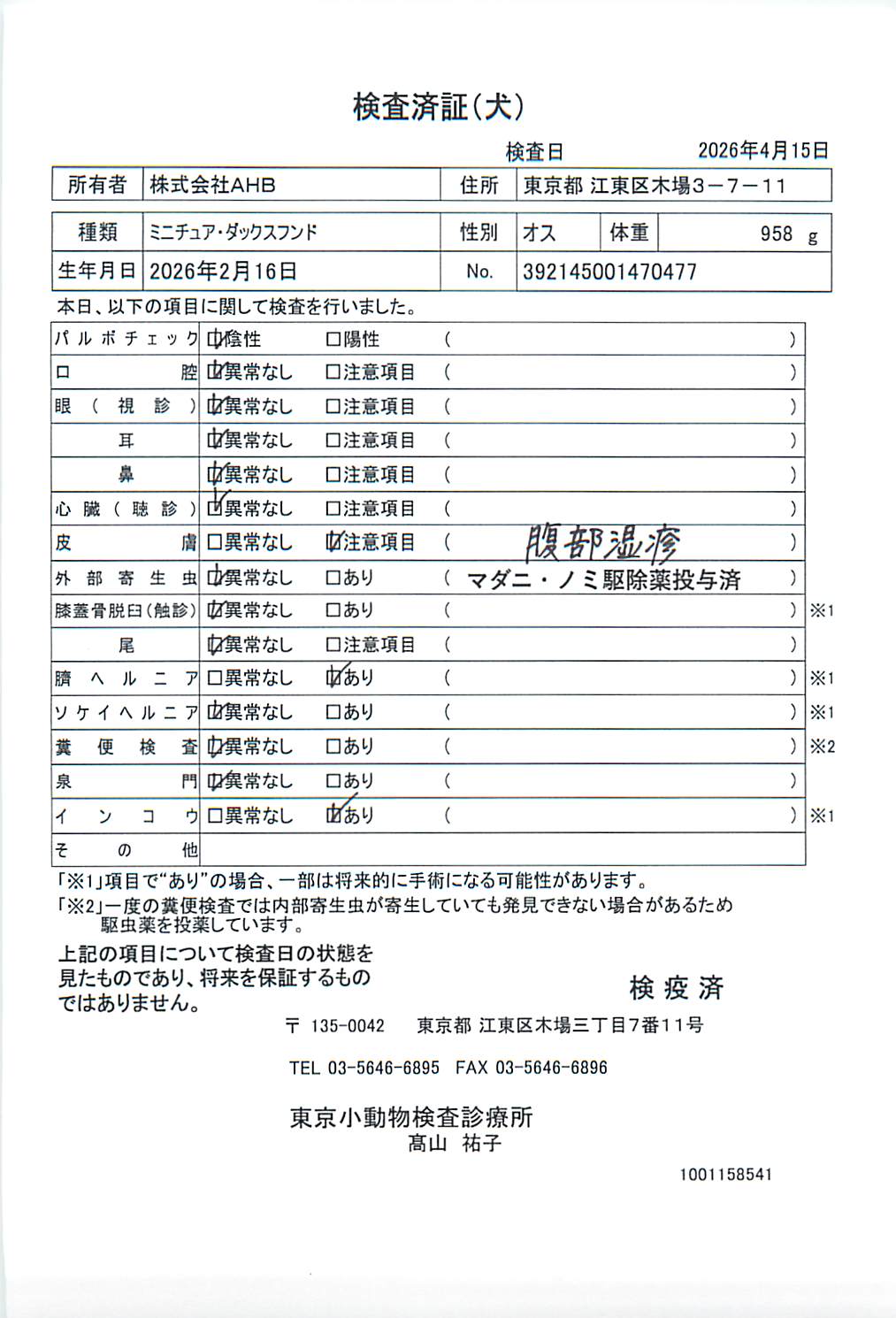 ミニチュア・ダックスフンド