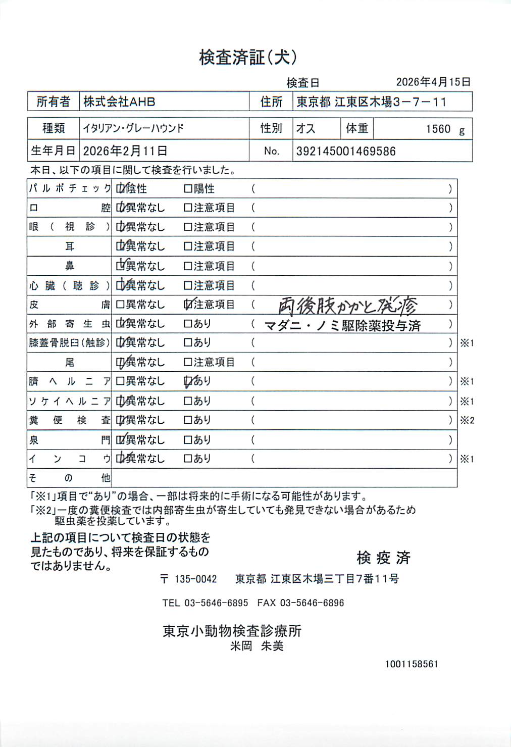 イタリアン・グレーハウンド