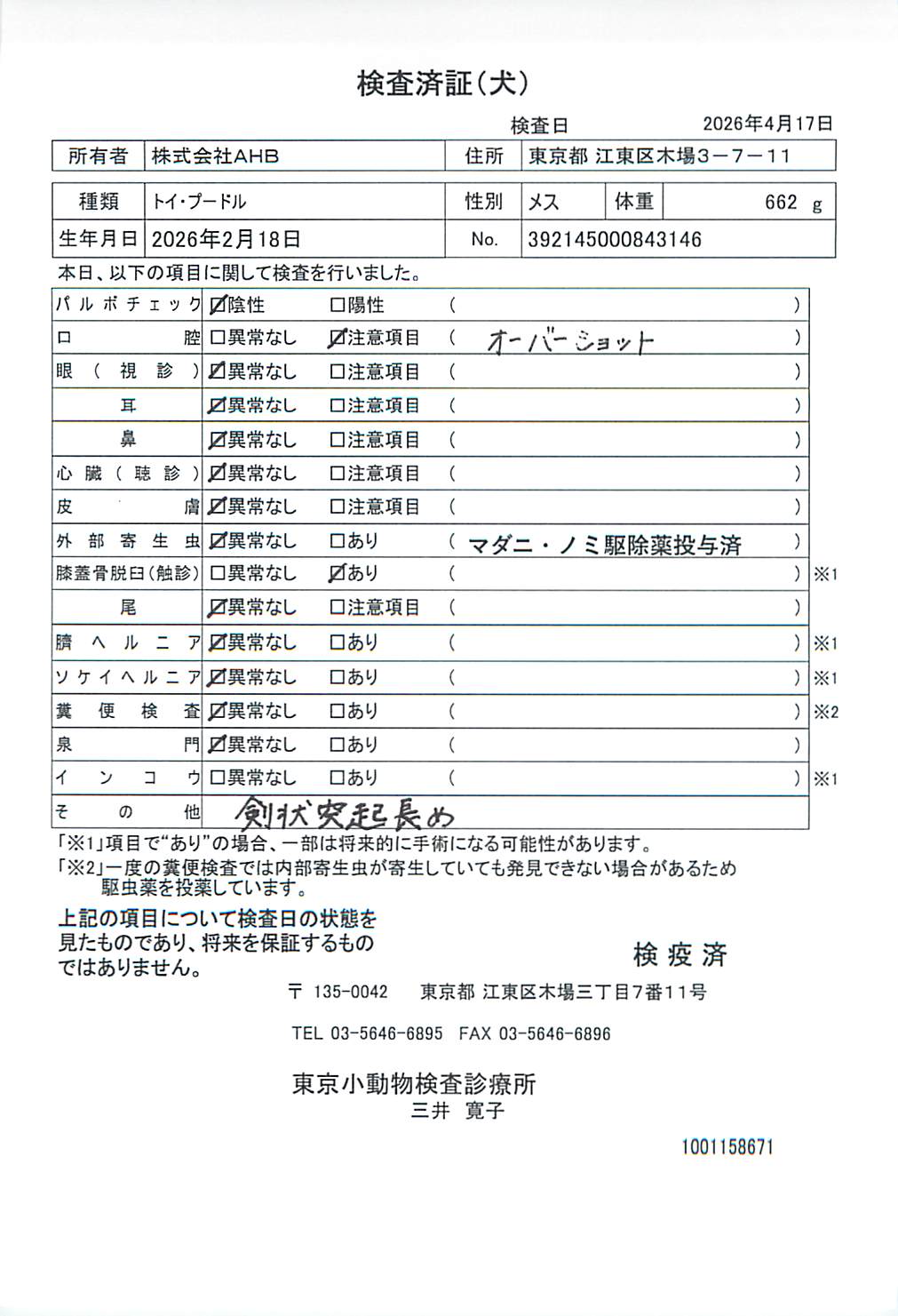 トイ・プードル