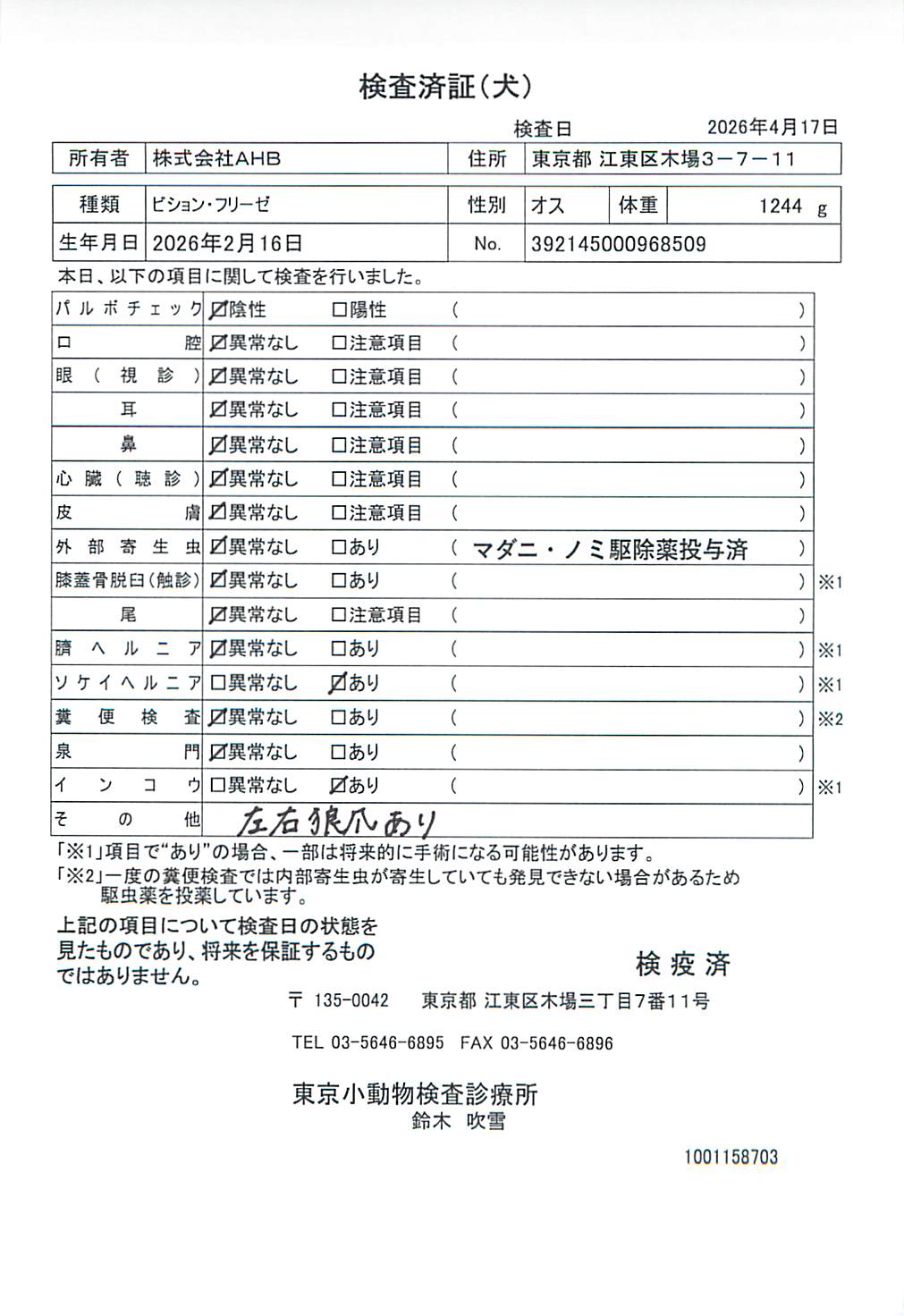 ビション・フリーゼ