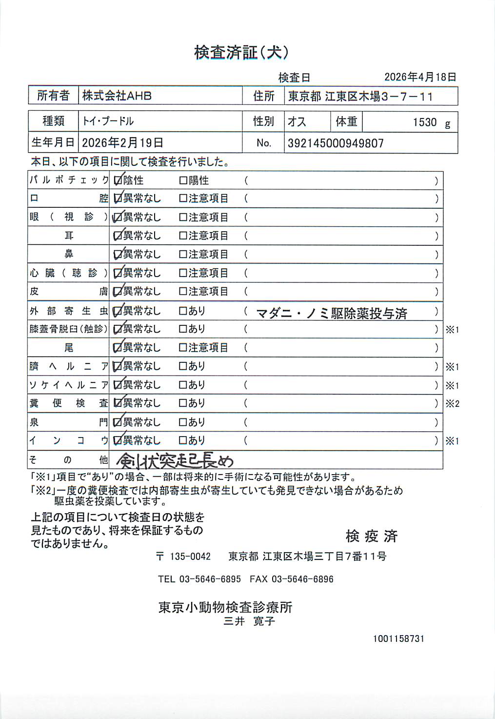 トイ・プードル