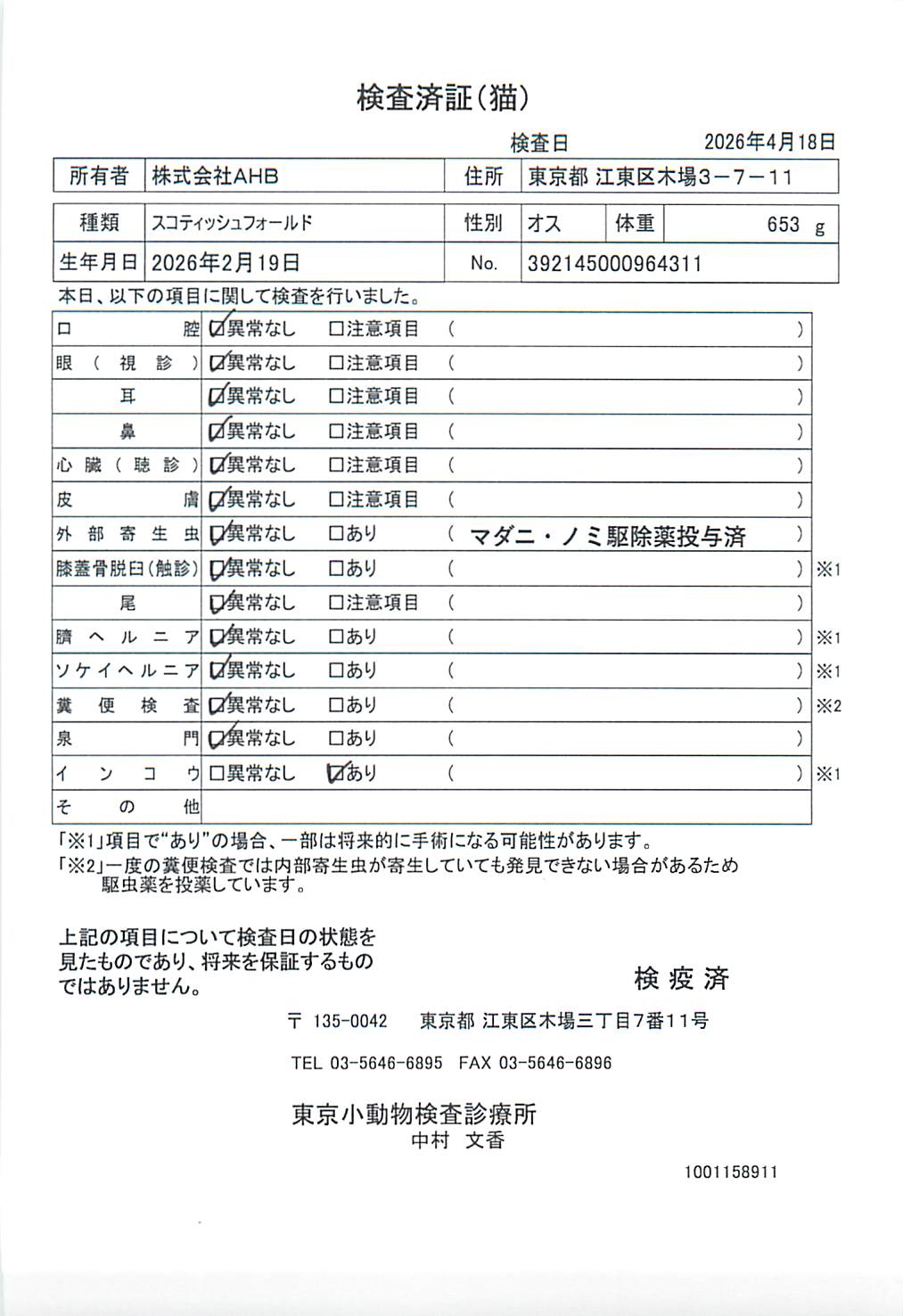 スコティッシュフォールド