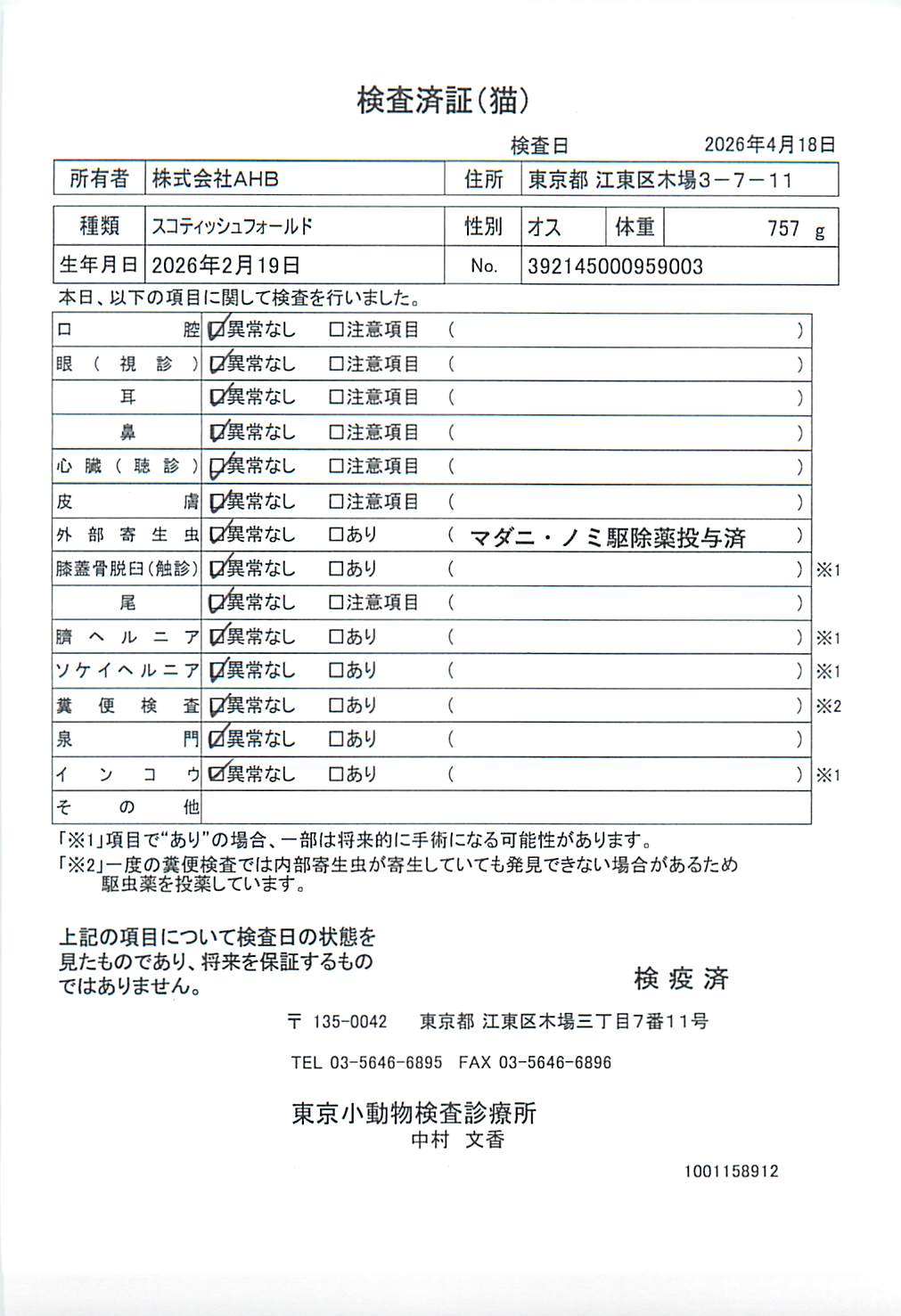 スコティッシュフォールド