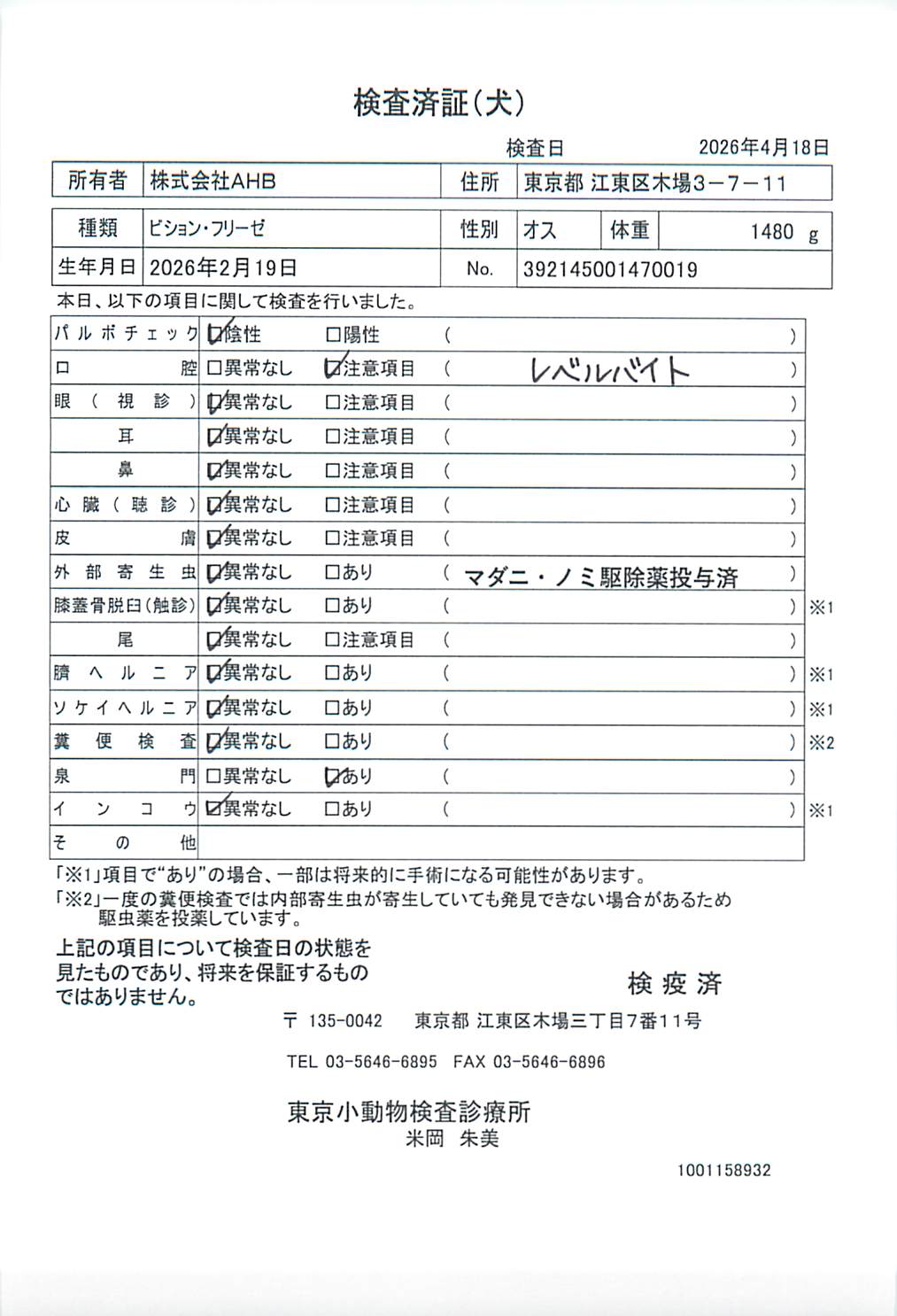 ビション・フリーゼ