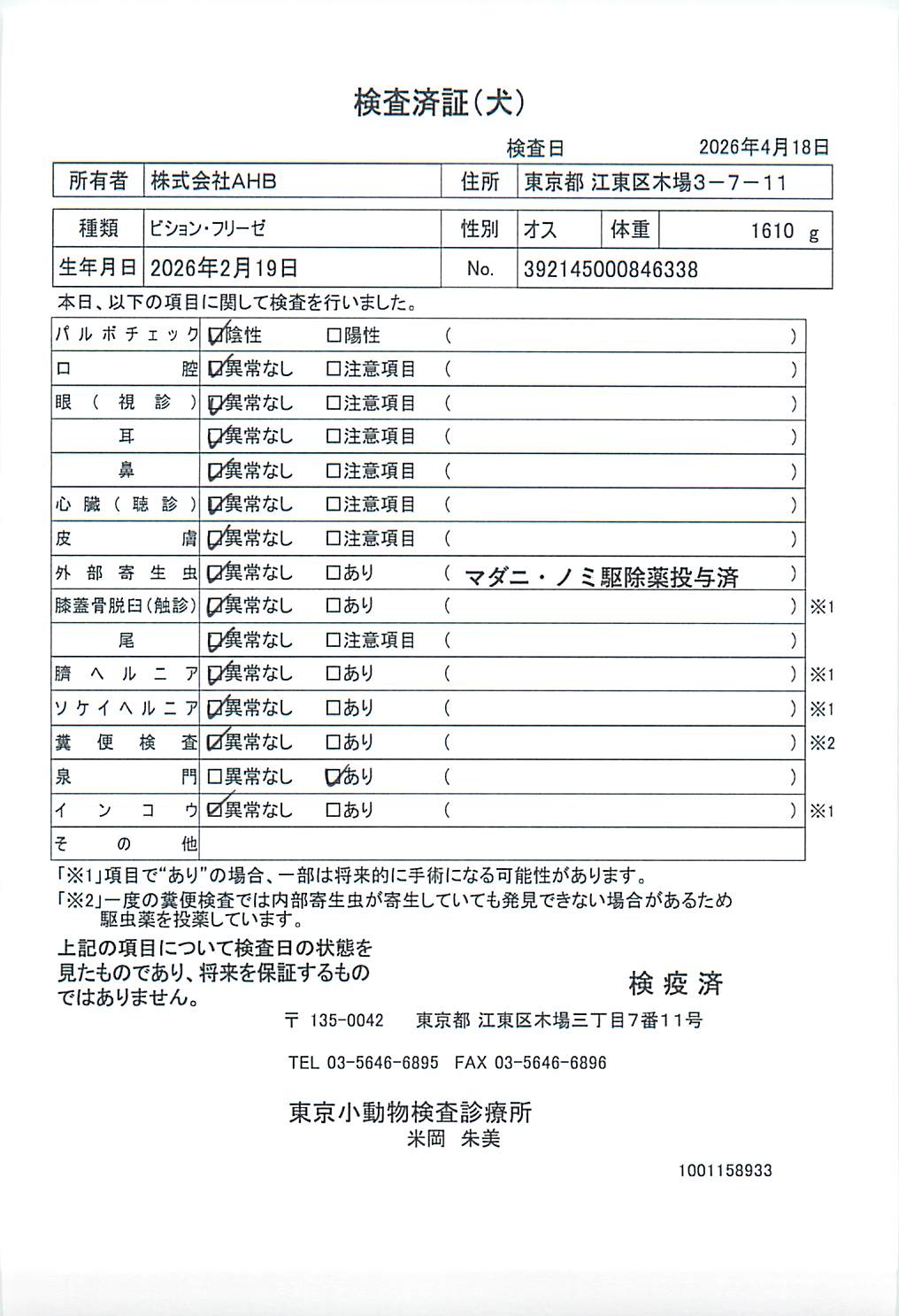 ビション・フリーゼ