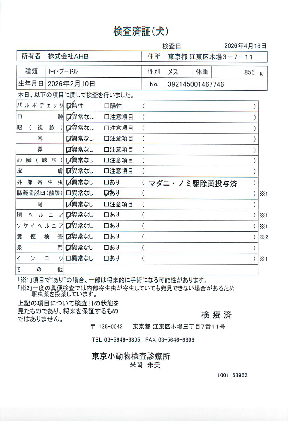 トイ・プードル