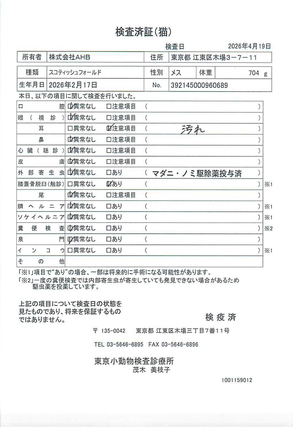 スコティッシュフォールド