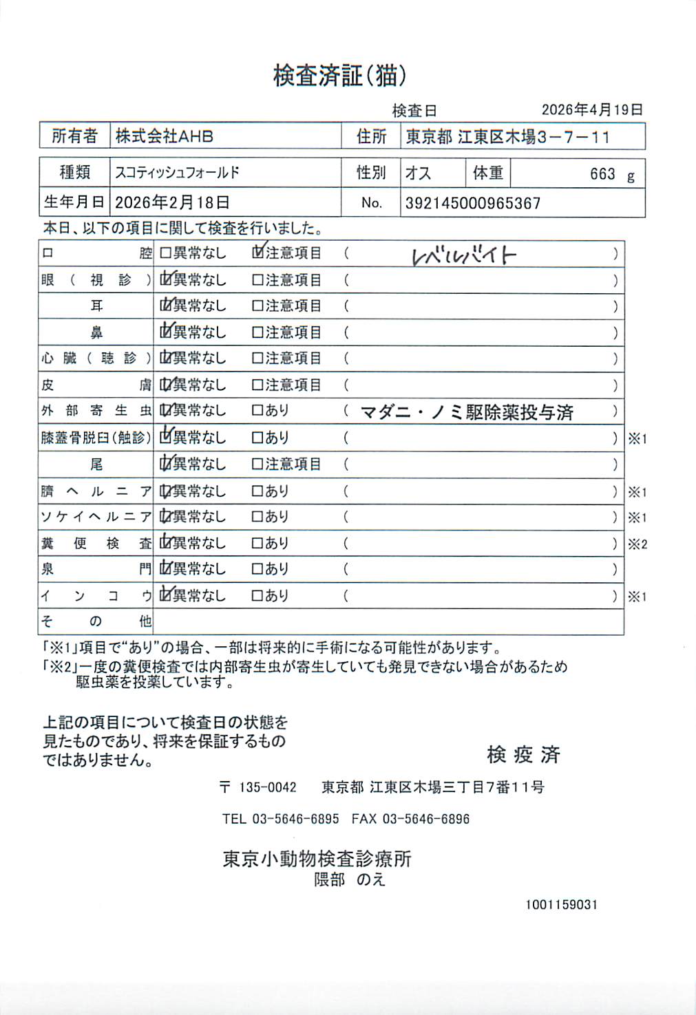 スコティッシュフォールド