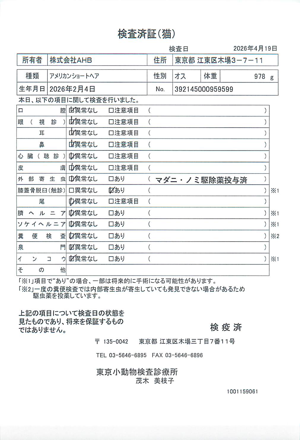 アメリカンショートヘア