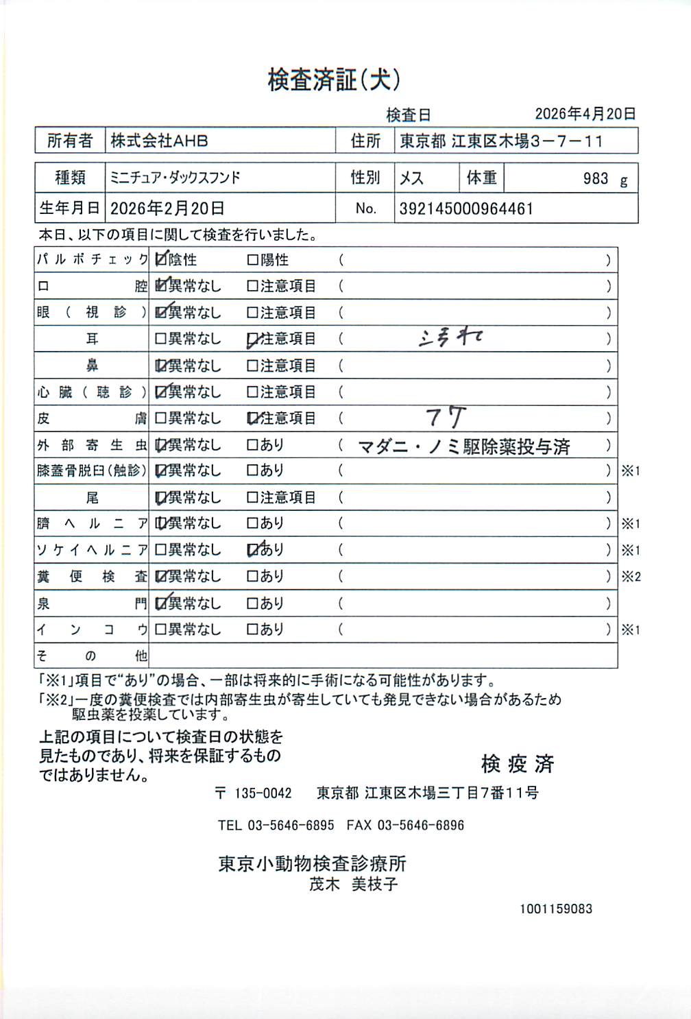 ミニチュア・ダックスフンド