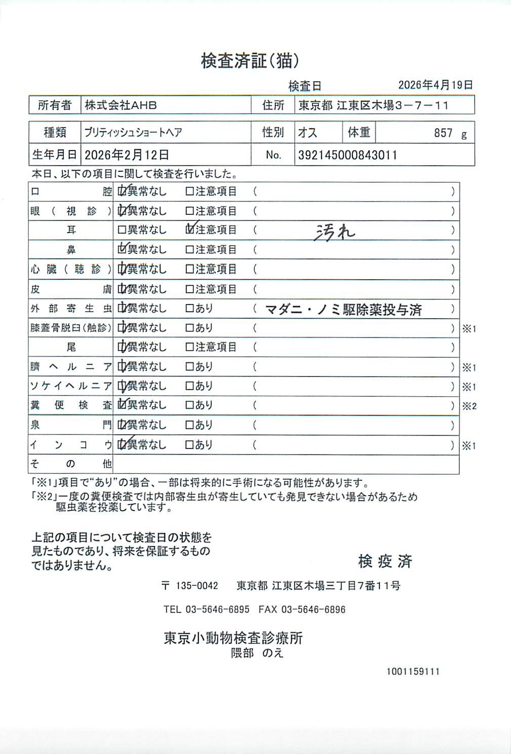 ブリティッシュショートヘア