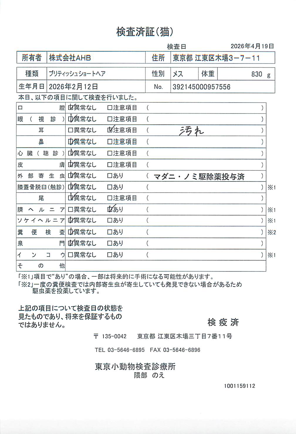 ブリティッシュショートヘア