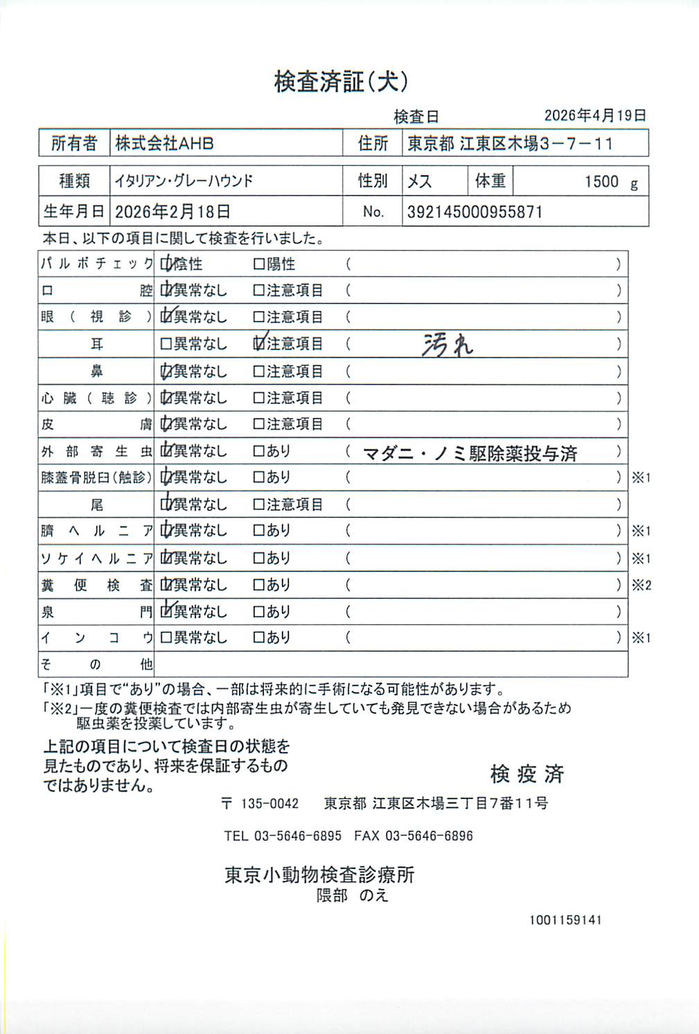 イタリアン・グレーハウンド