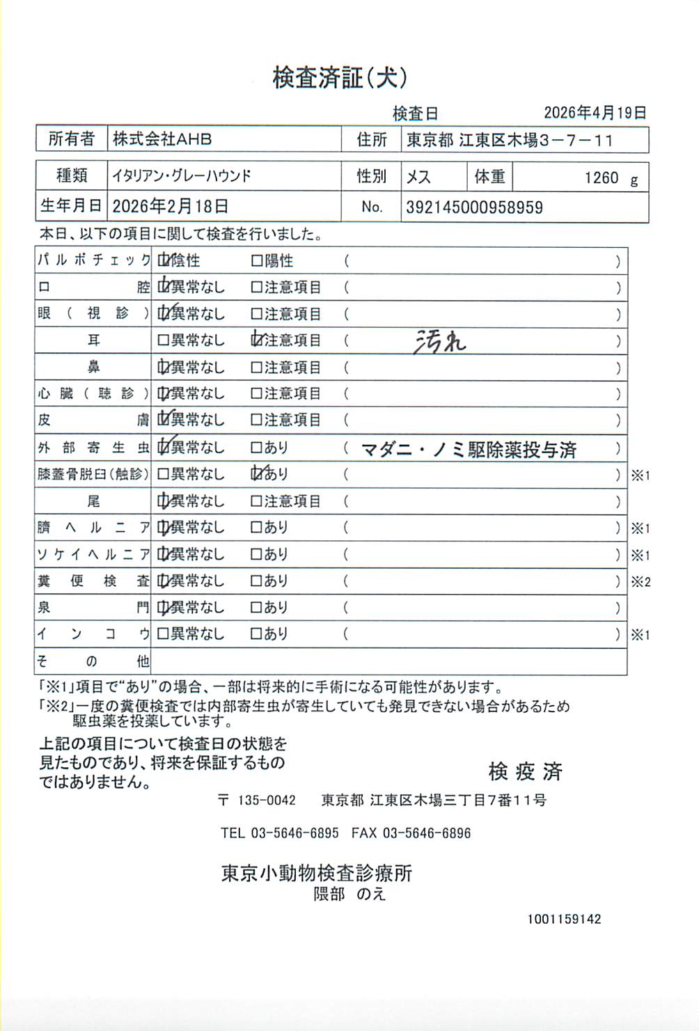 イタリアン・グレーハウンド