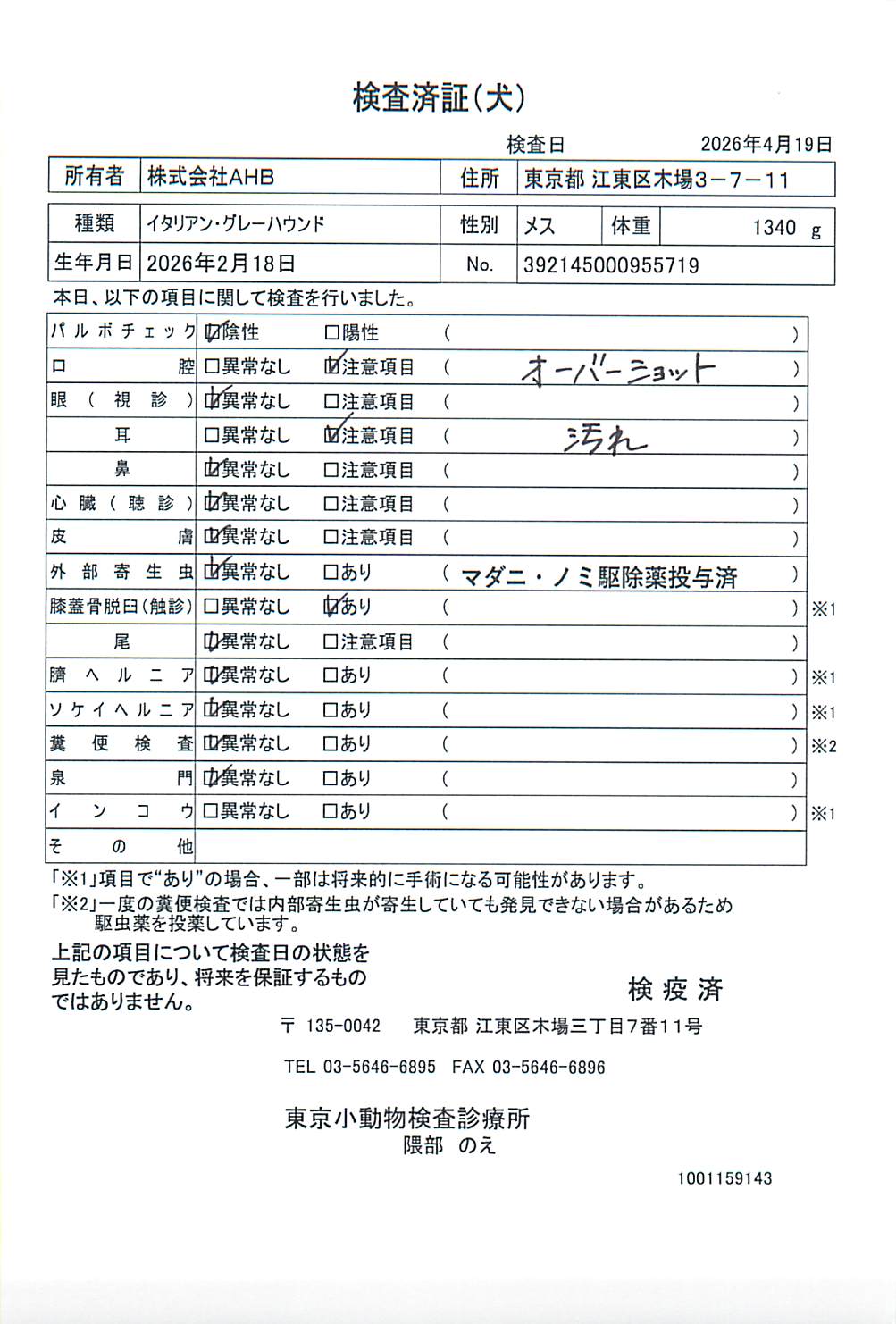 イタリアン・グレーハウンド