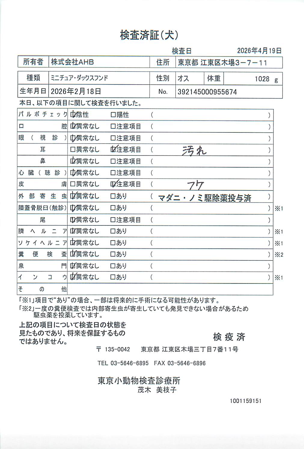 ミニチュア・ダックスフンド