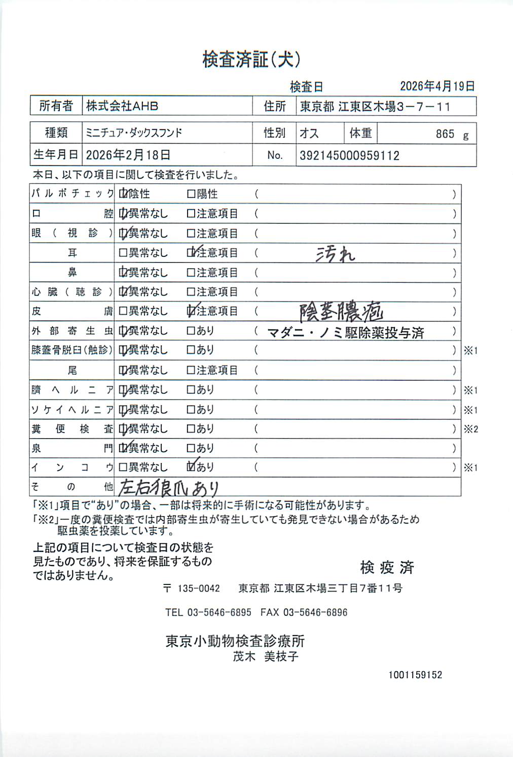 ミニチュア・ダックスフンド