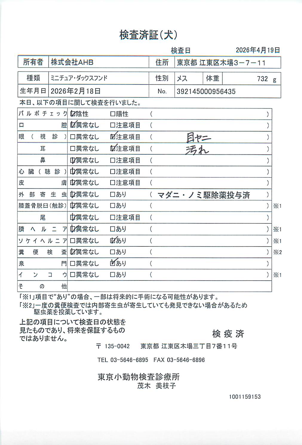 ミニチュア・ダックスフンド