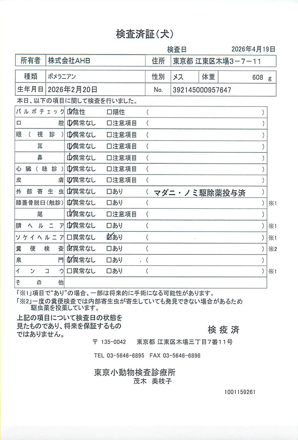 ポメラニアン