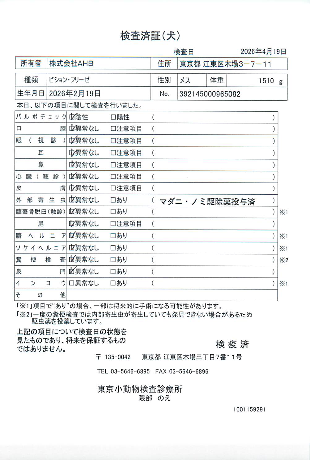 ビション・フリーゼ