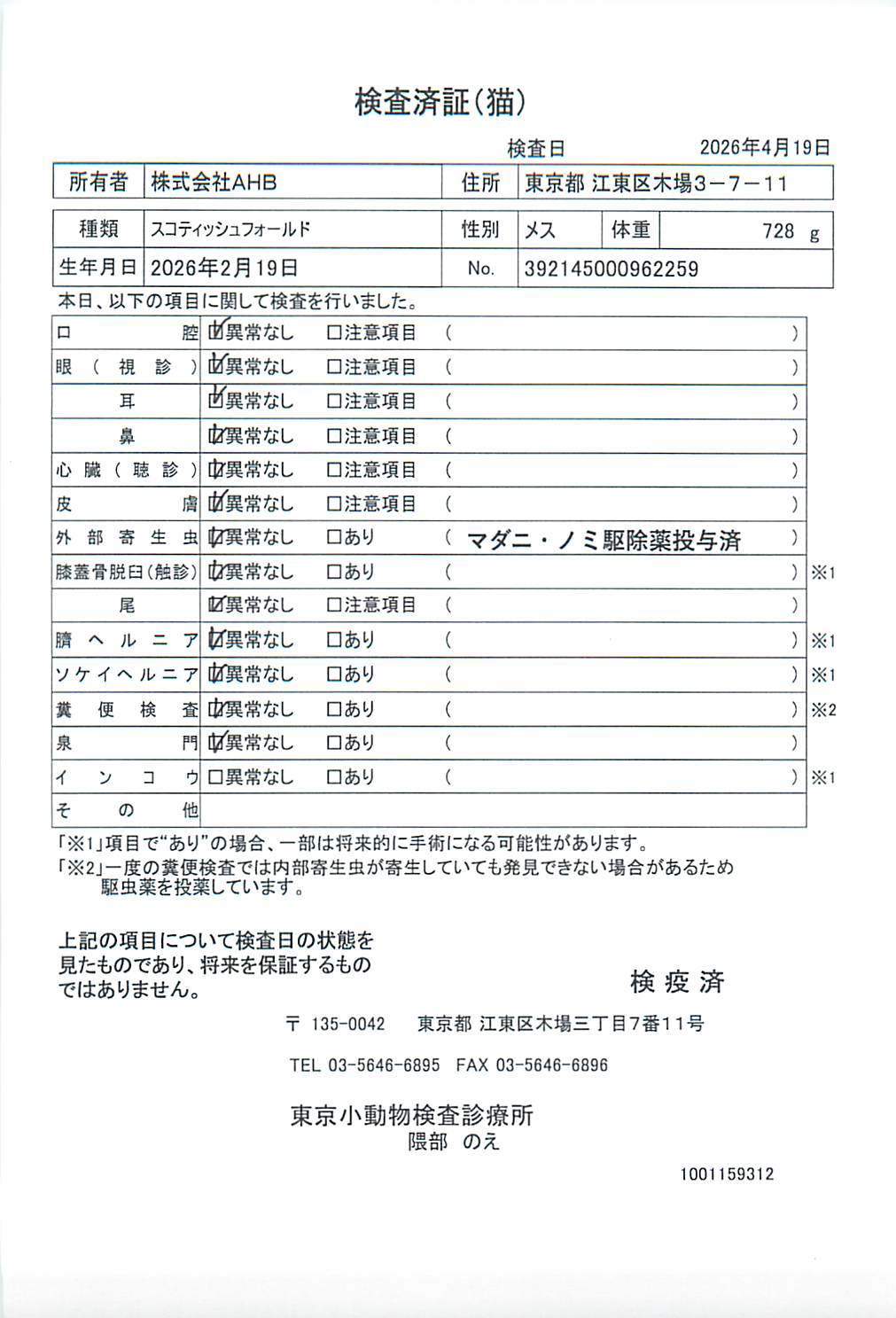 スコティッシュフォールド