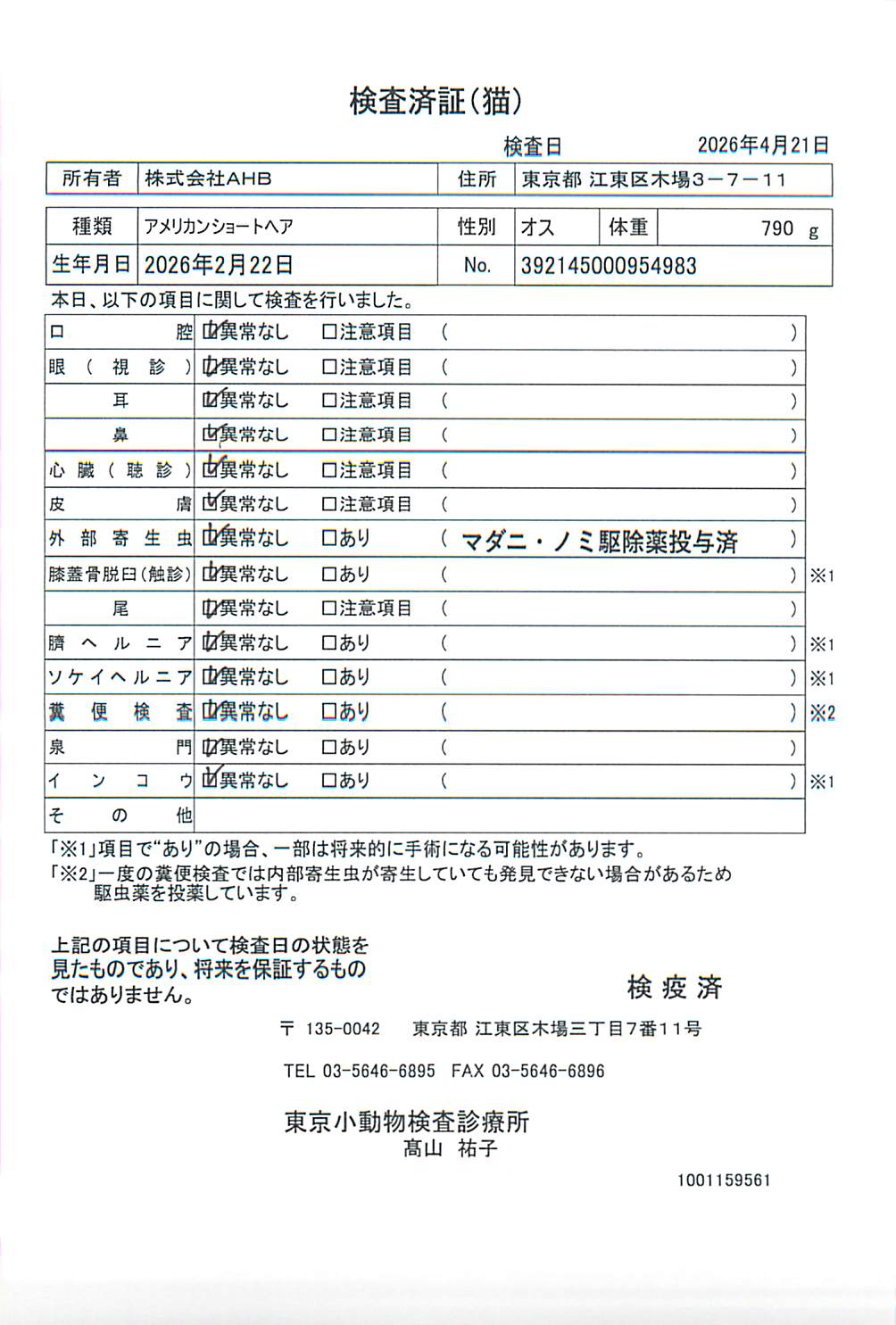 アメリカンショートヘア