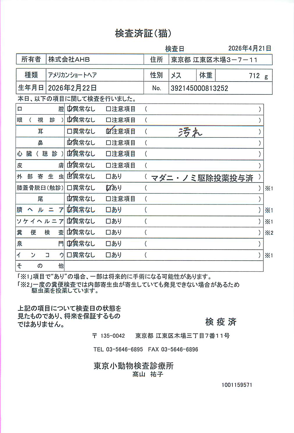 アメリカンショートヘア