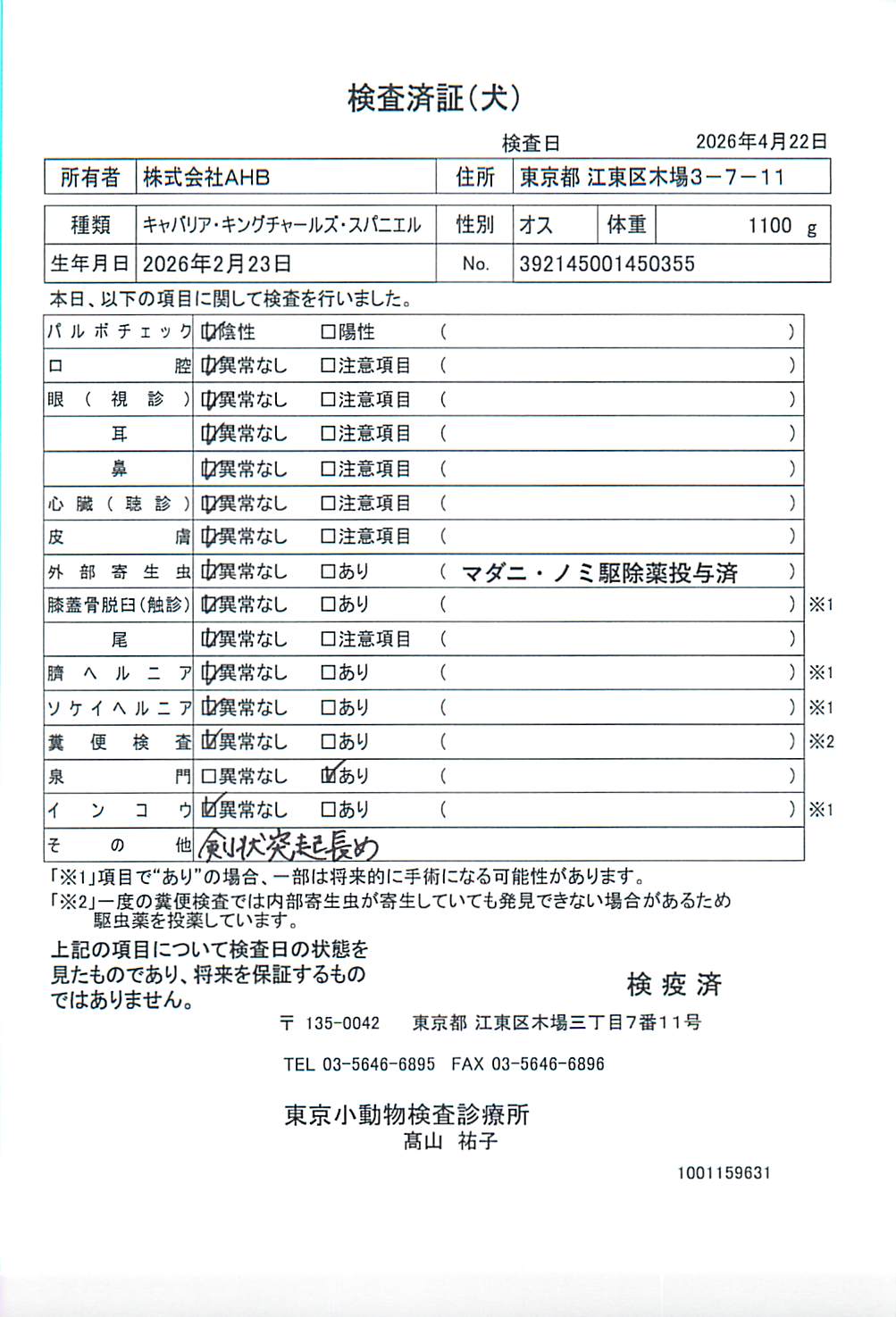 キャバリア・キングチャールズ・スパニエル