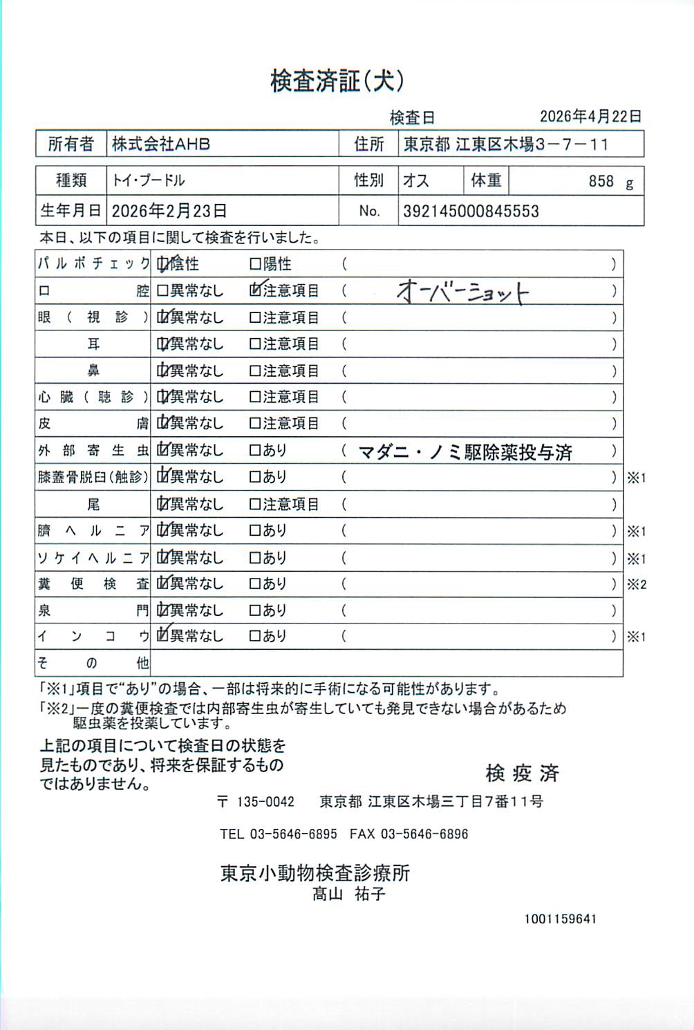 トイ・プードル