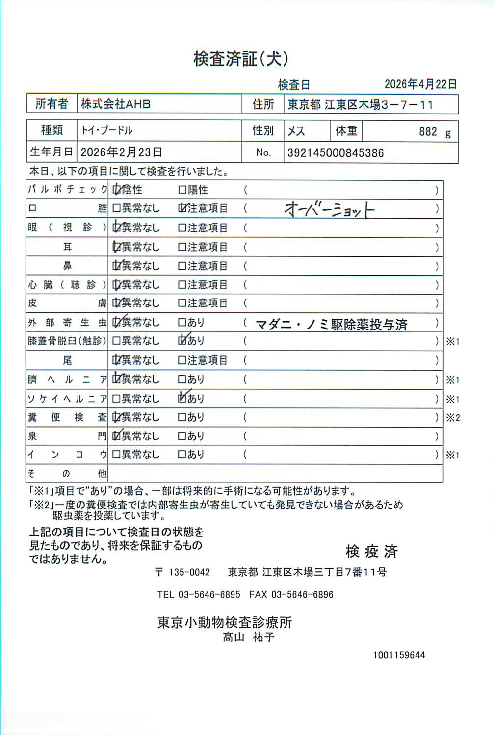 トイ・プードル